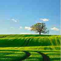 ai识﻿别﻿图‍像‍